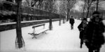 Régis Rampnoux - Neige jardin du Luxembourg1